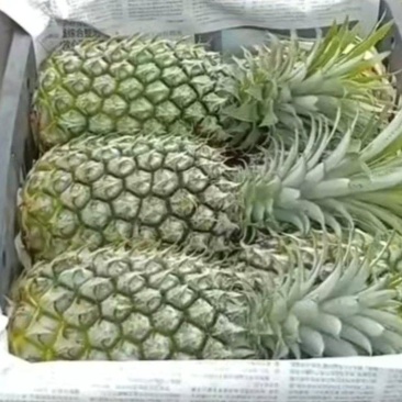 凭果说话，用心服务顾客。