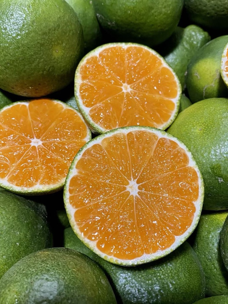 湖北宜都蜜橘一手货源，可视频看货，看园采园，品质有保证