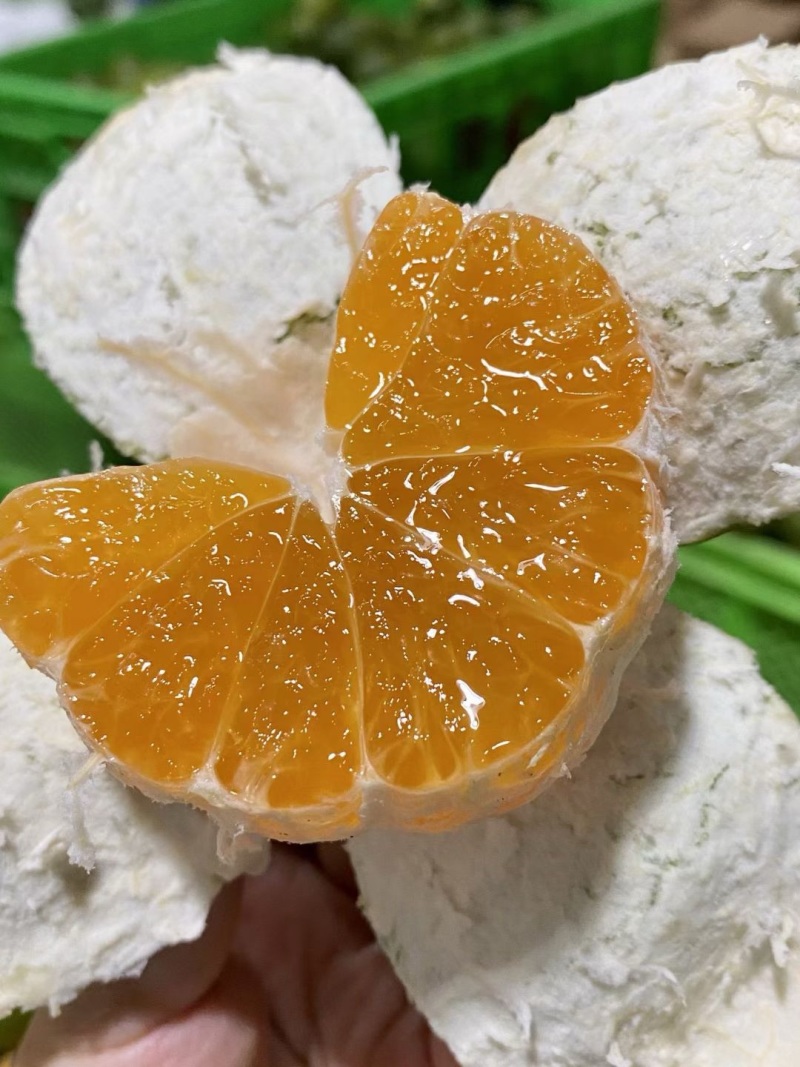 湖北宜都蜜橘一手货源，可视频看货，看园采园，品质有保证