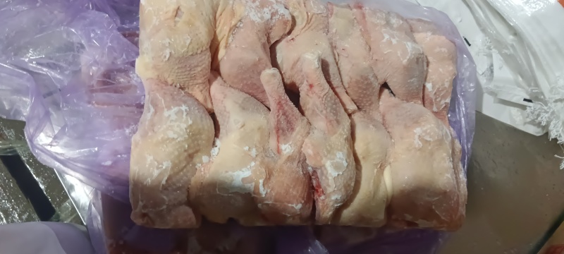 500天老鸡排腿