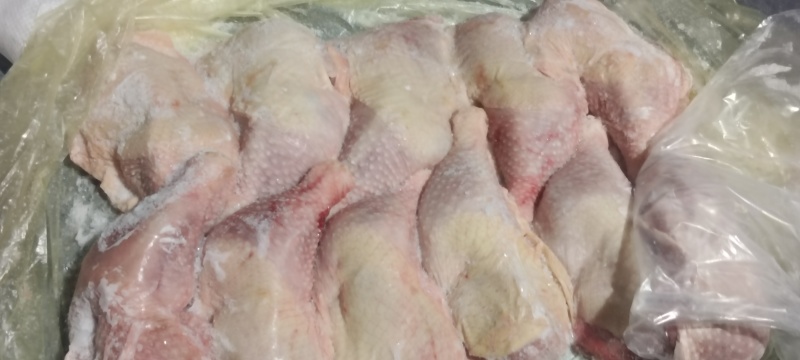 500天老鸡排腿
