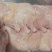 500天老鸡排腿