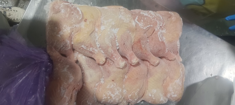500天老鸡排腿