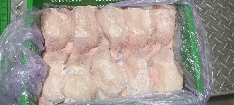 500天老鸡排腿