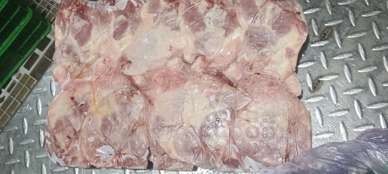 500天老鸡排腿