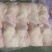 500天老鸡排腿