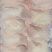 500天老鸡排腿