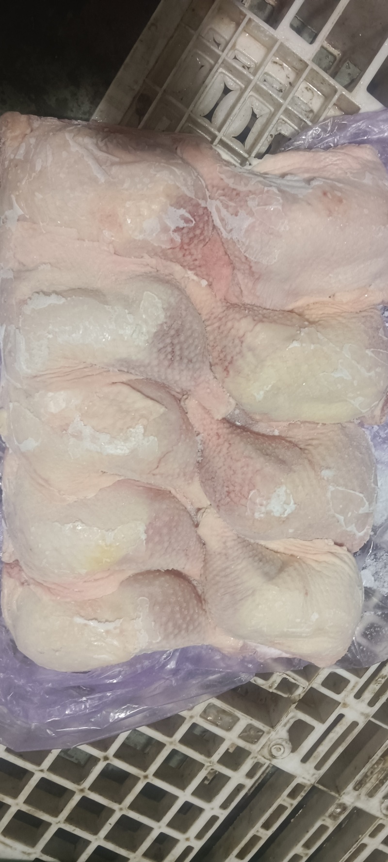 500天老鸡排腿