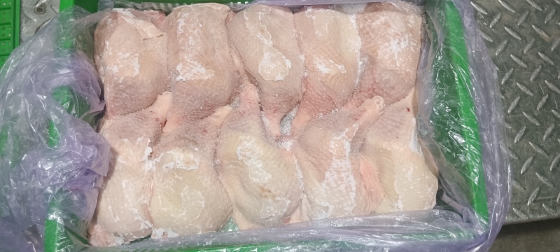 500天老鸡排腿