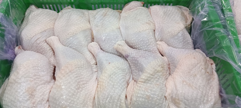500天老鸡排腿