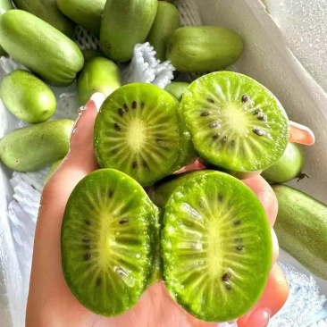 质量嘎嘎好，一件代发一手货源，各种规格什么样价格都有货