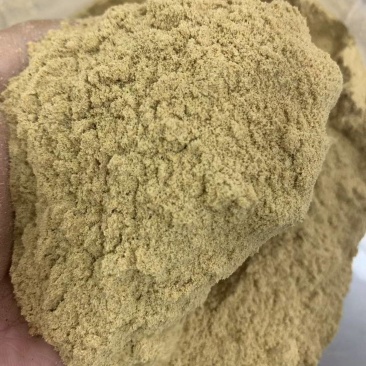 大豆胚芽粉