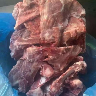 850B猪胫骨