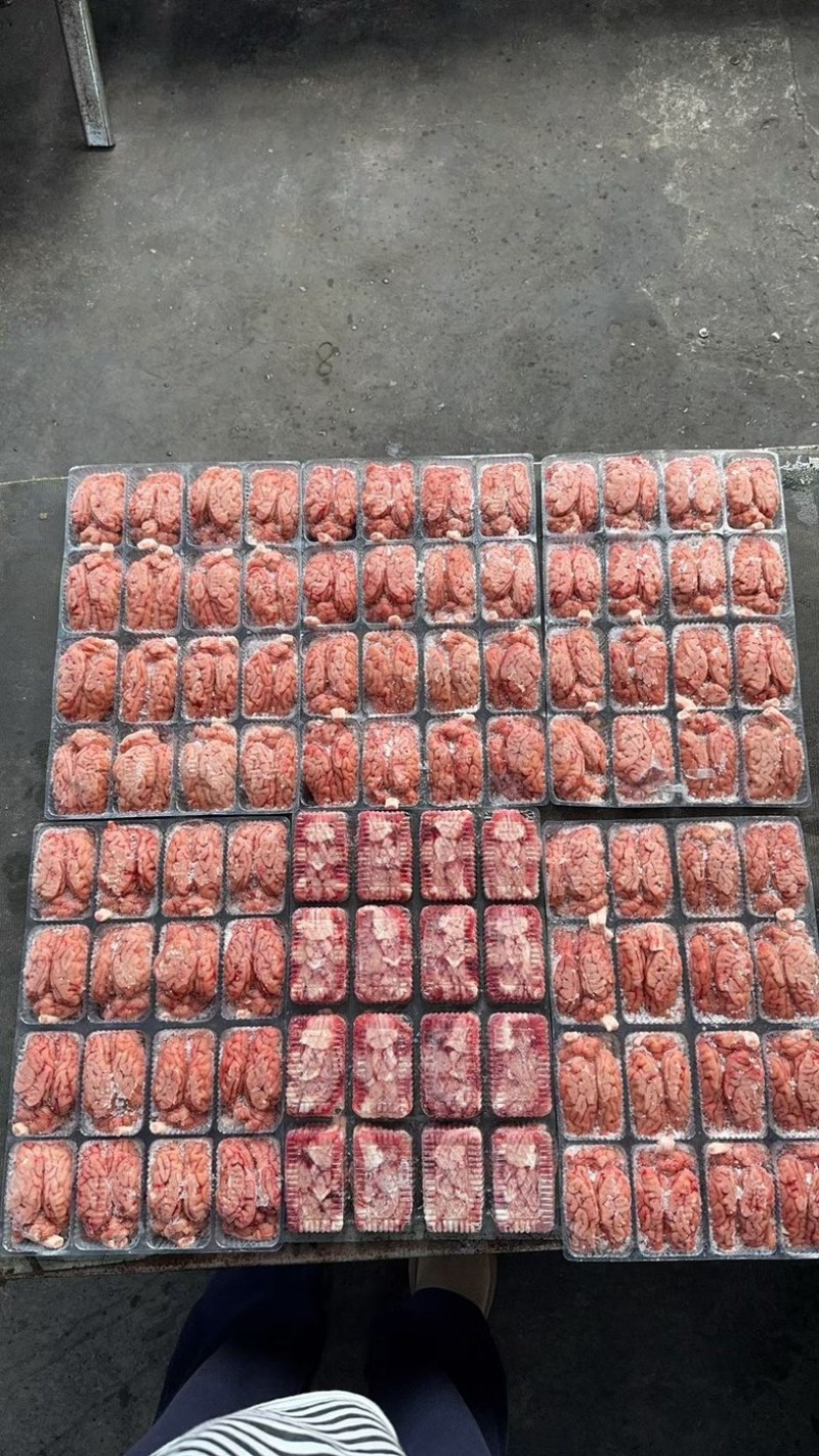 猪脑花厂家直销量大从优
