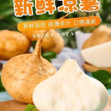 贵州农家自种（地萝卜）凉暑