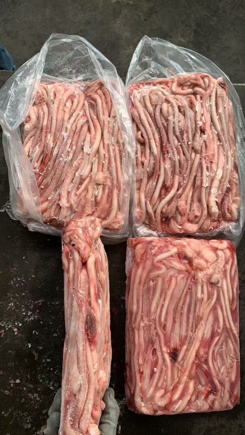 猪鞭厂家直销各种规格量大从优