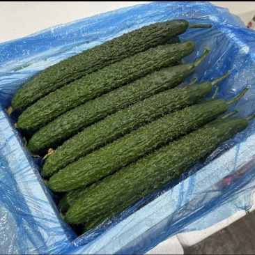 干花带刺黄瓜精品通货