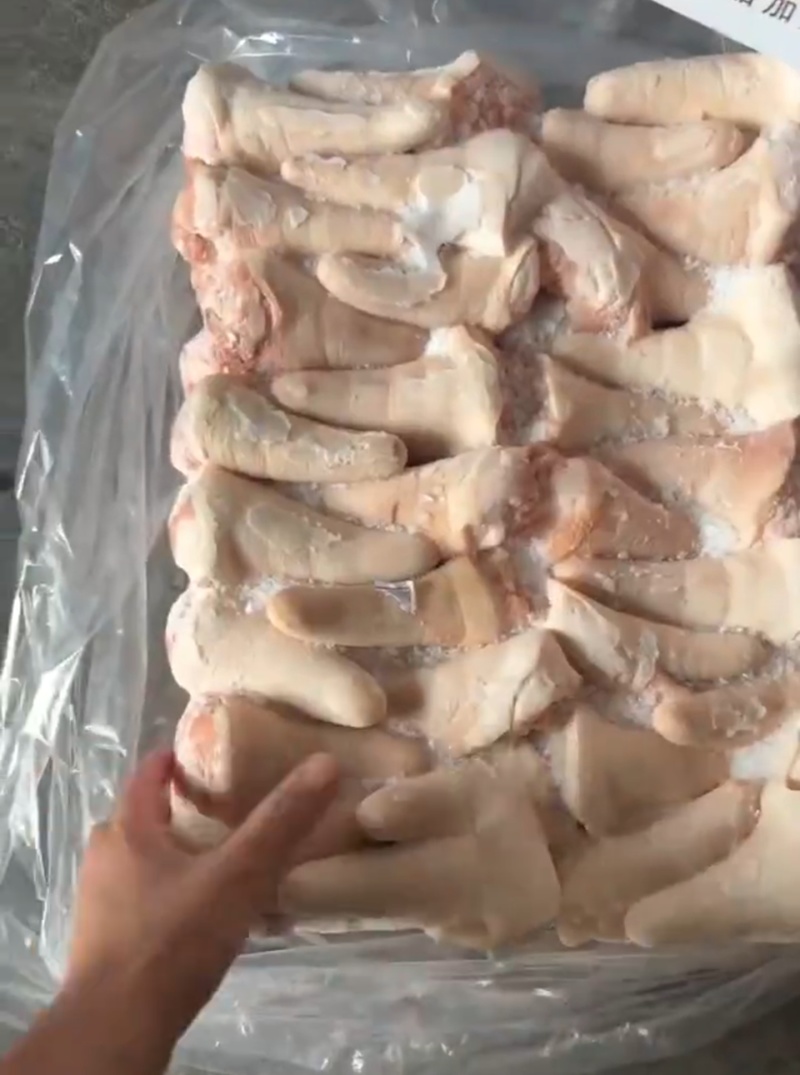 短尾猪尾猪猪短尾