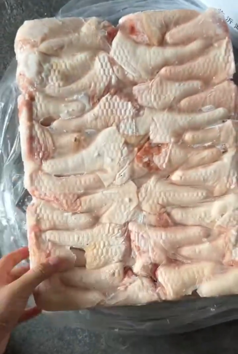 短尾猪尾猪猪短尾