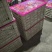湖北精品蜜橘产地发货一手货源批发品质保证价格美丽欢迎下单