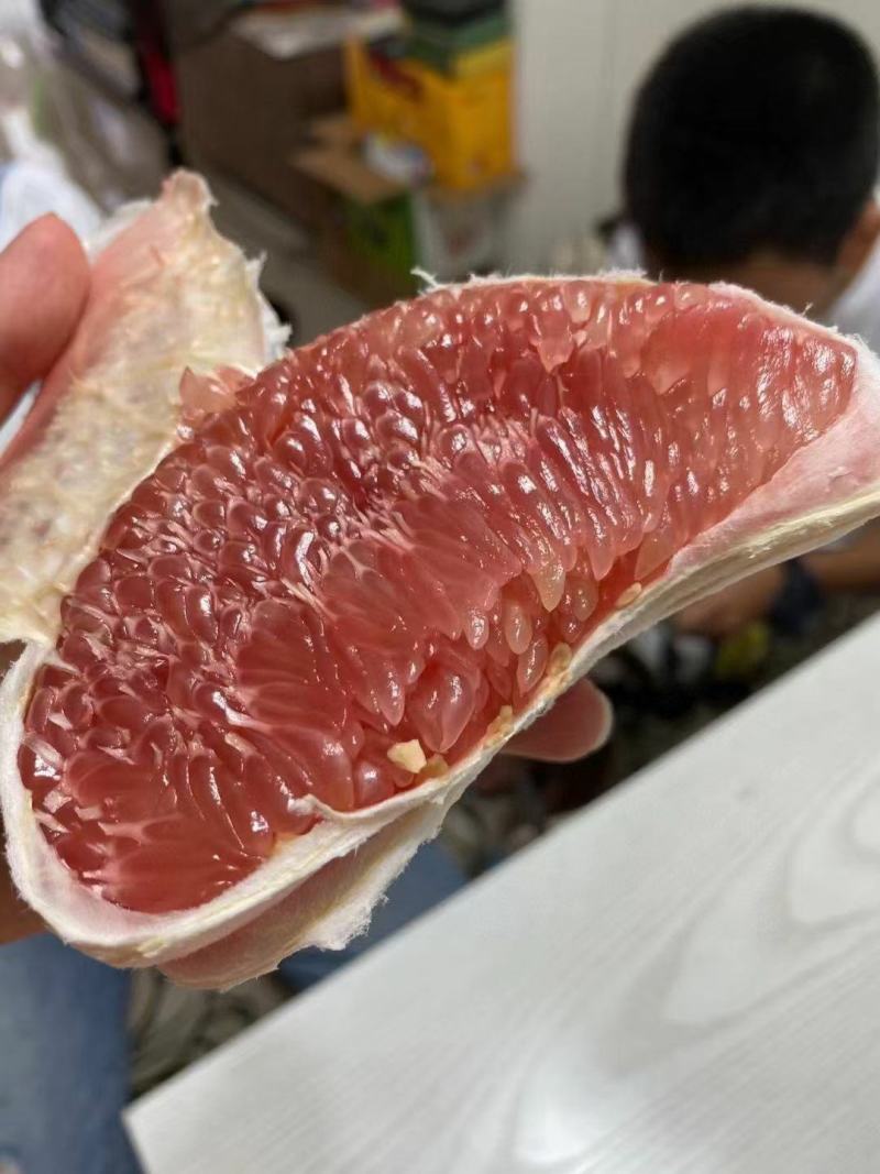 湖北宜昌精品红心蜜柚产地发货一手货源批发品质保证价格美丽