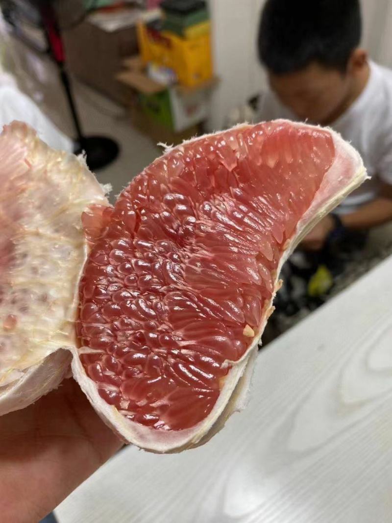 湖北宜昌精品红心蜜柚产地发货一手货源批发品质保证价格美丽