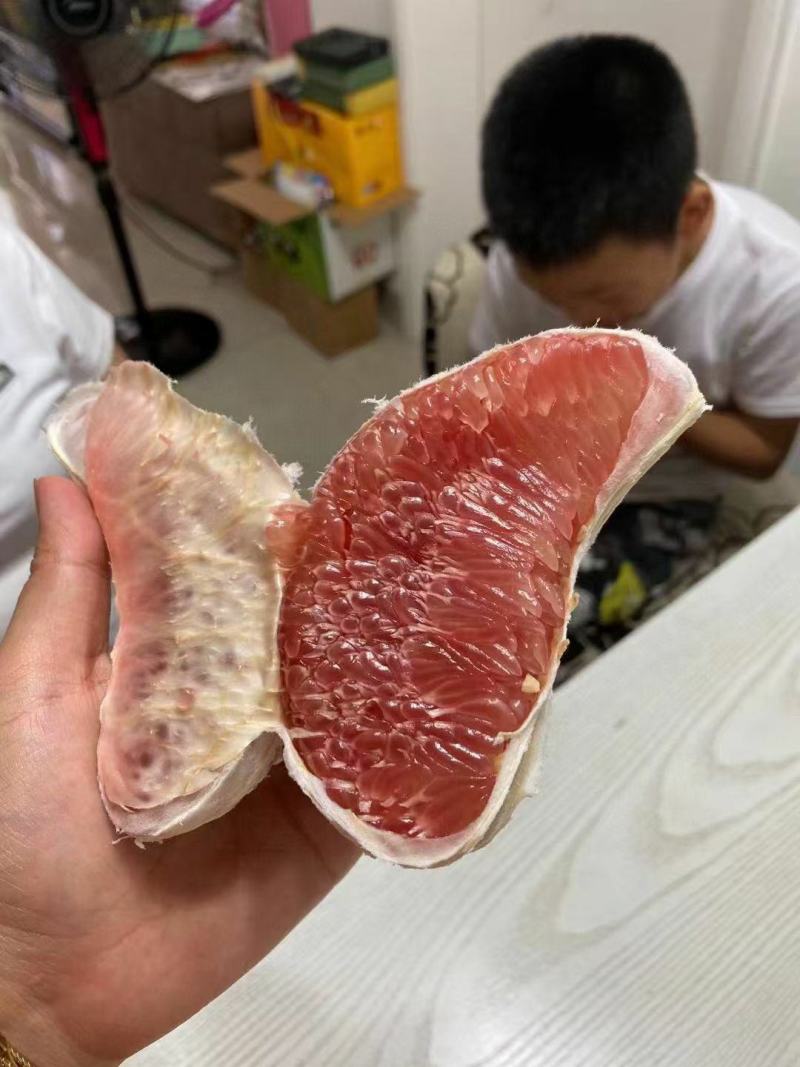 湖北宜昌精品红心蜜柚产地发货一手货源批发品质保证价格美丽