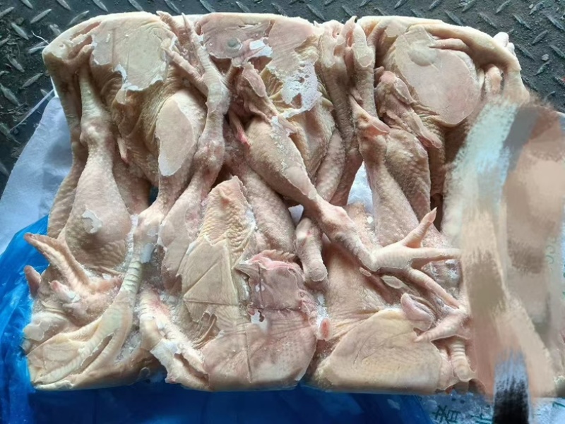 一级三黄鸡