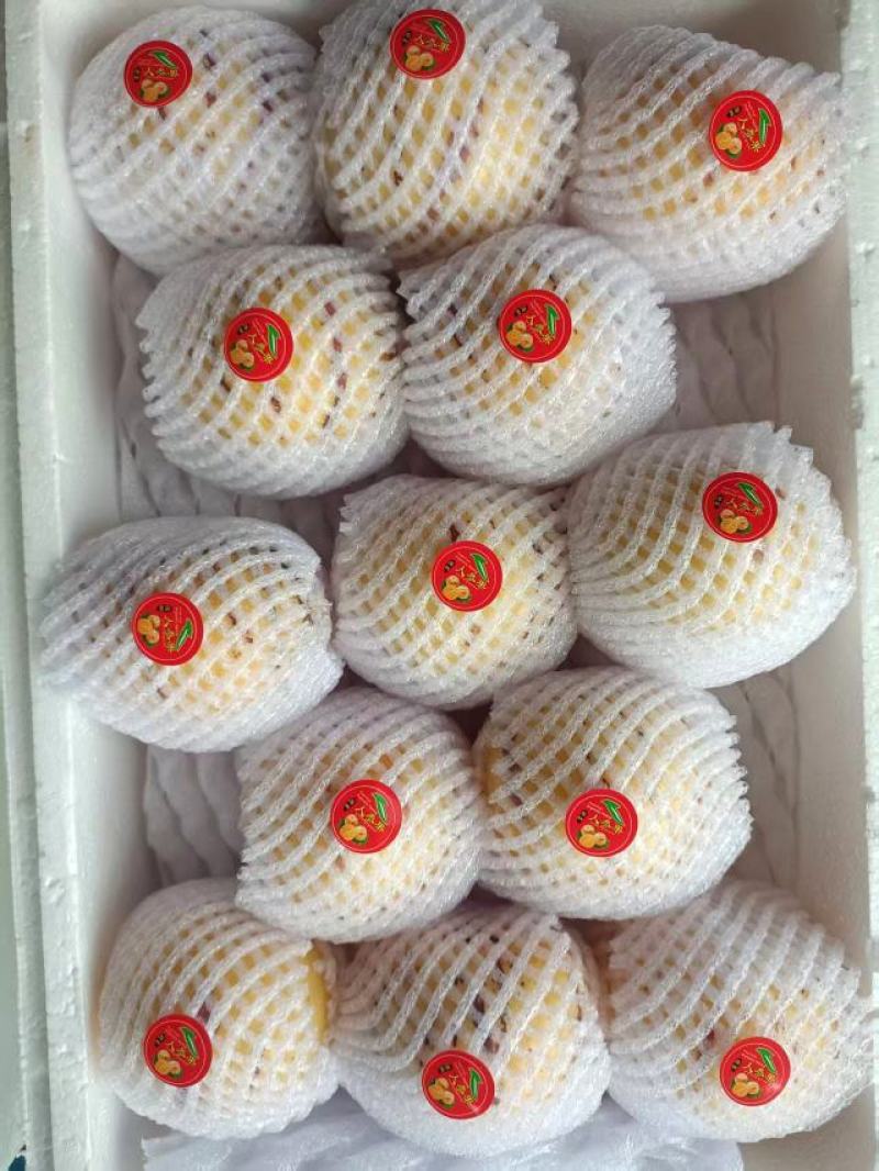 盛禾农业人参果大量上市，产地直发，品质保证，服务周到