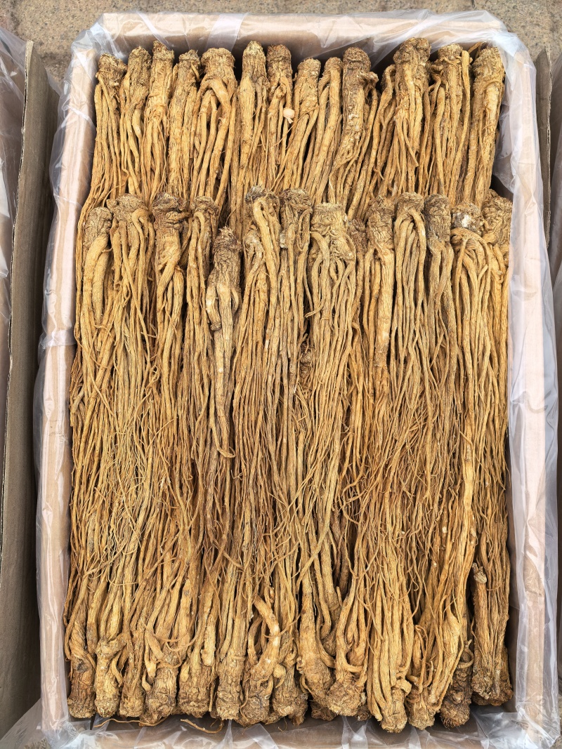 甘肃岷县有硫水洗黄当归品质保证服务周到产地直发
