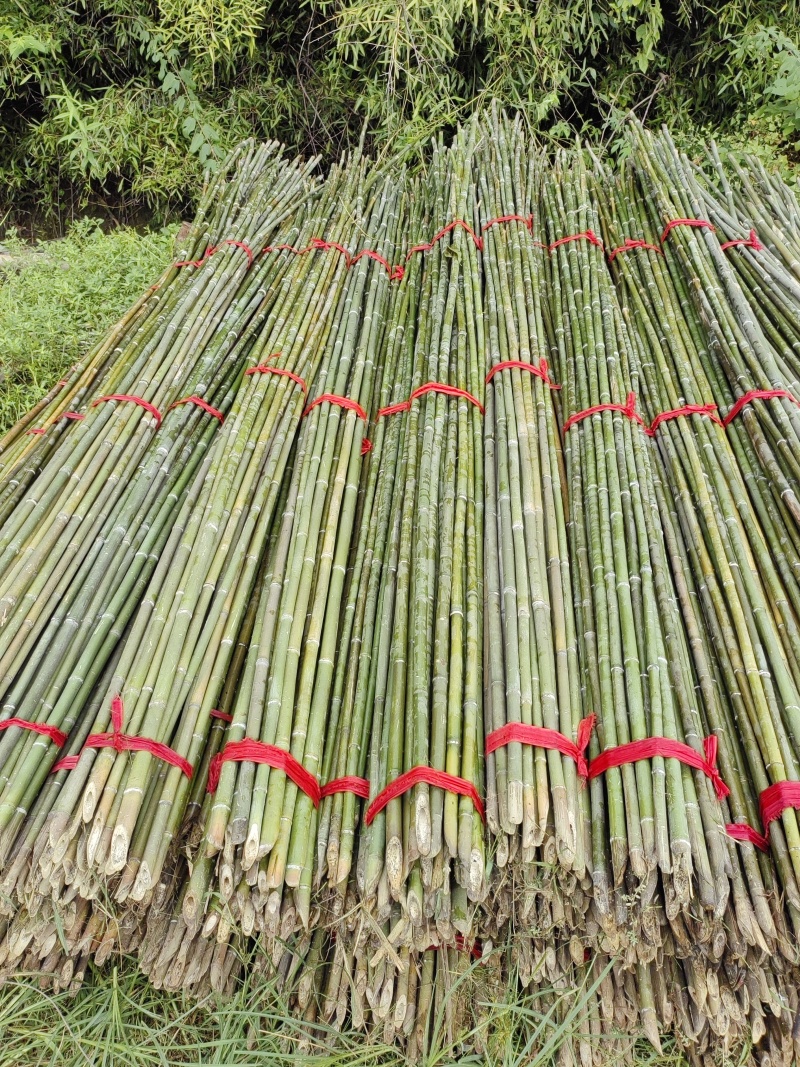 毛竹菜架旗杆竹，根根精品