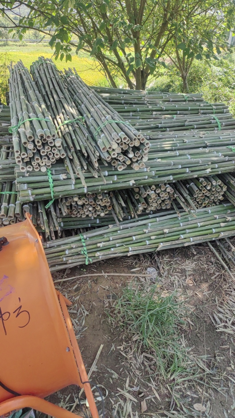 毛竹菜架旗杆竹，根根精品