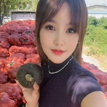贝贝南瓜/沙地爆粉南瓜/山东贝贝南瓜/一件代发便宜特惠