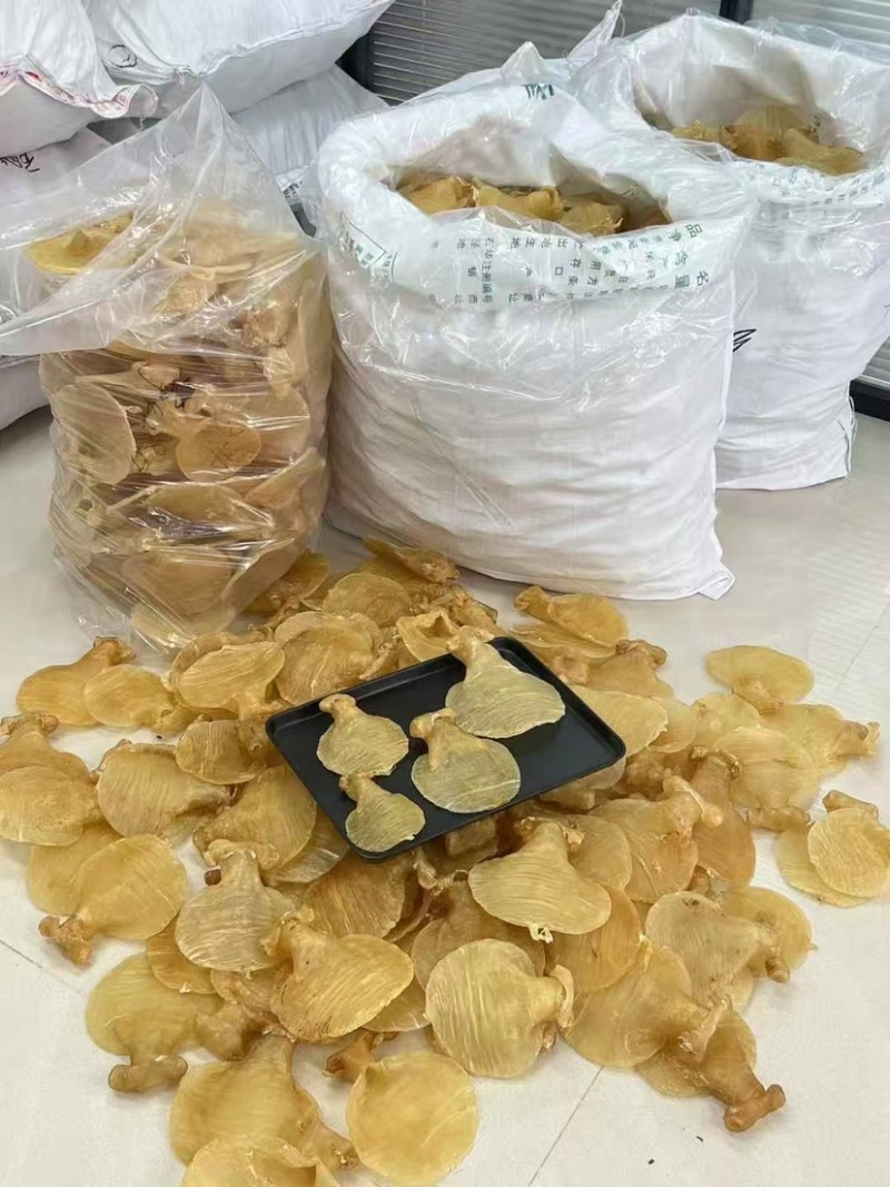 石肚型白鳘赤嘴花胶深海鱼胶孕妇滋补品月子胶干货