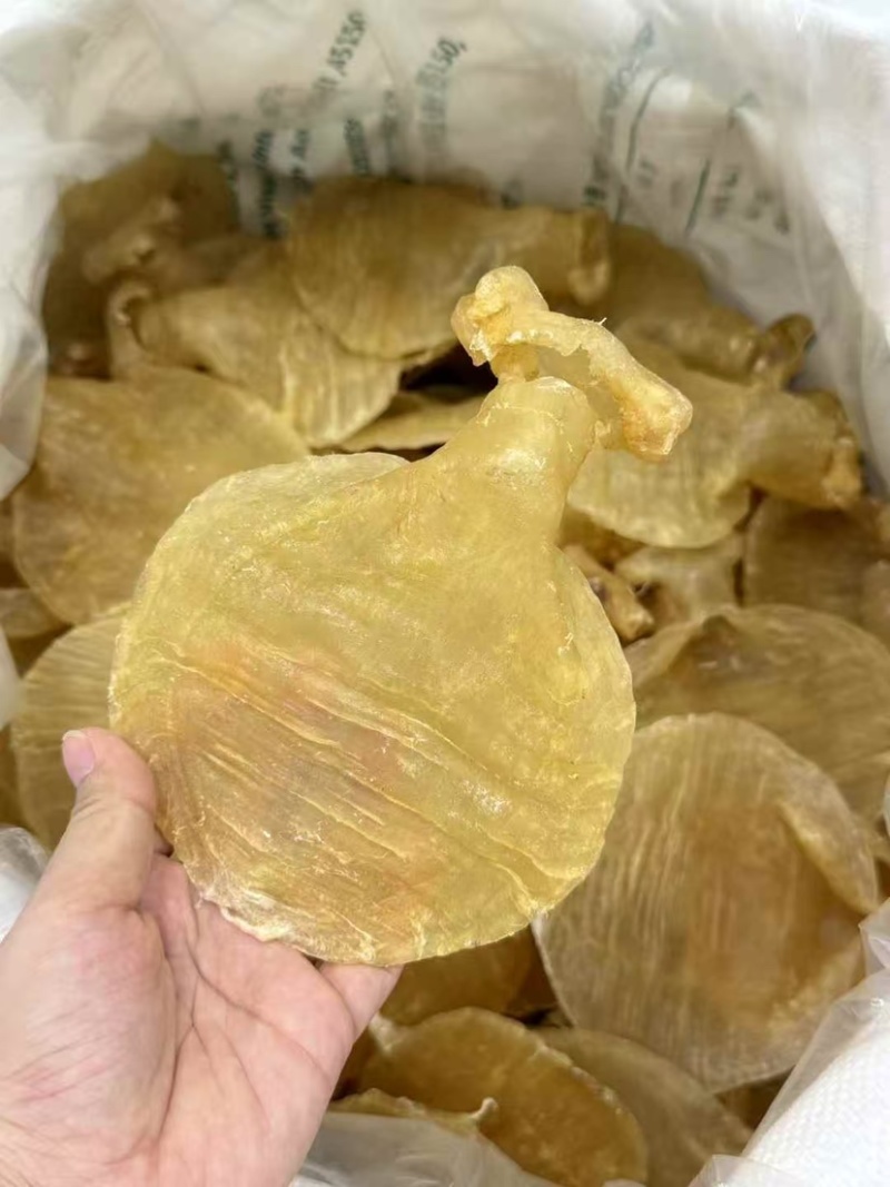 石肚型白鳘赤嘴花胶深海鱼胶孕妇滋补品月子胶干货