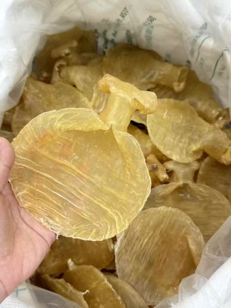石肚型白鳘赤嘴花胶深海鱼胶孕妇滋补品月子胶干货