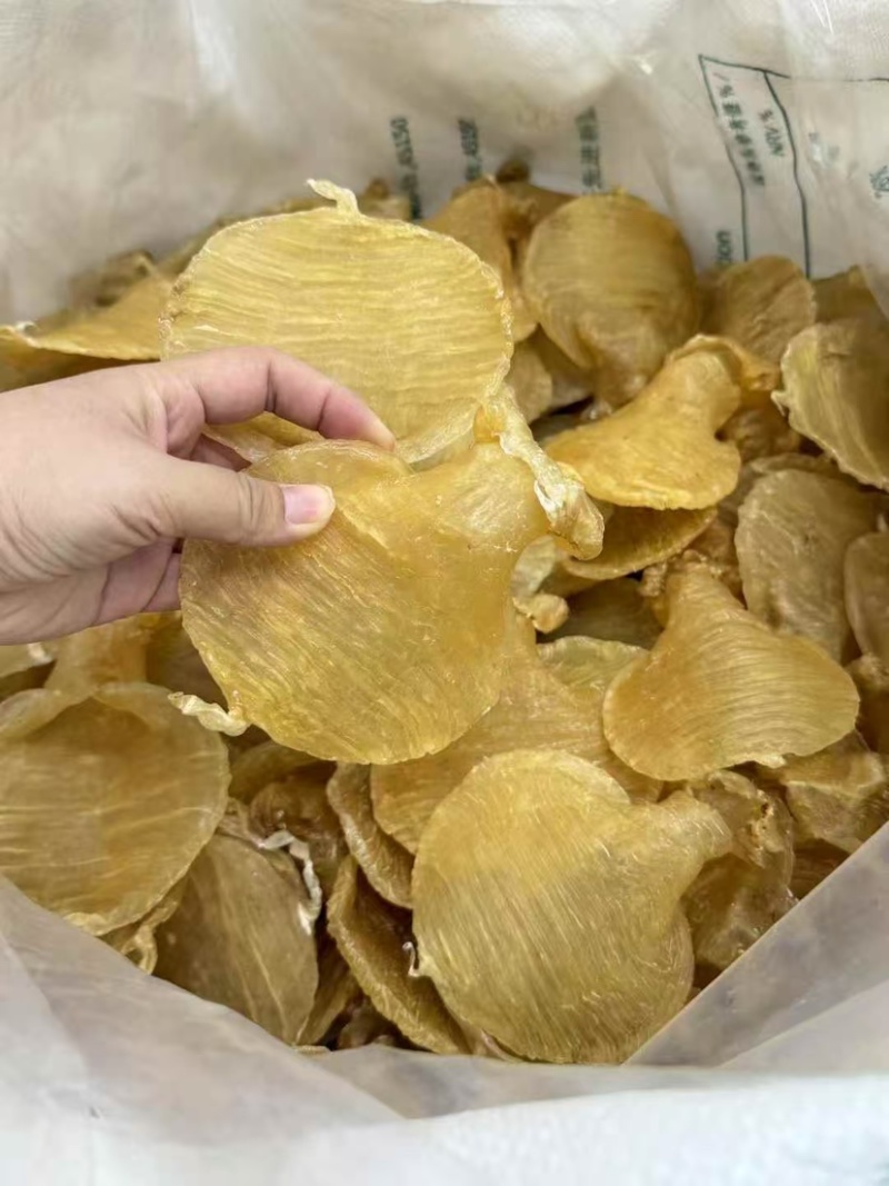 石肚型白鳘赤嘴花胶深海鱼胶孕妇滋补品月子胶干货