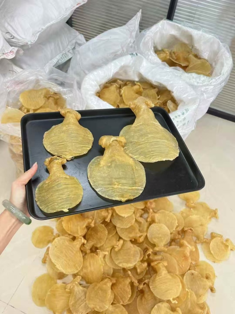 石肚型白鳘赤嘴花胶深海鱼胶孕妇滋补品月子胶干货