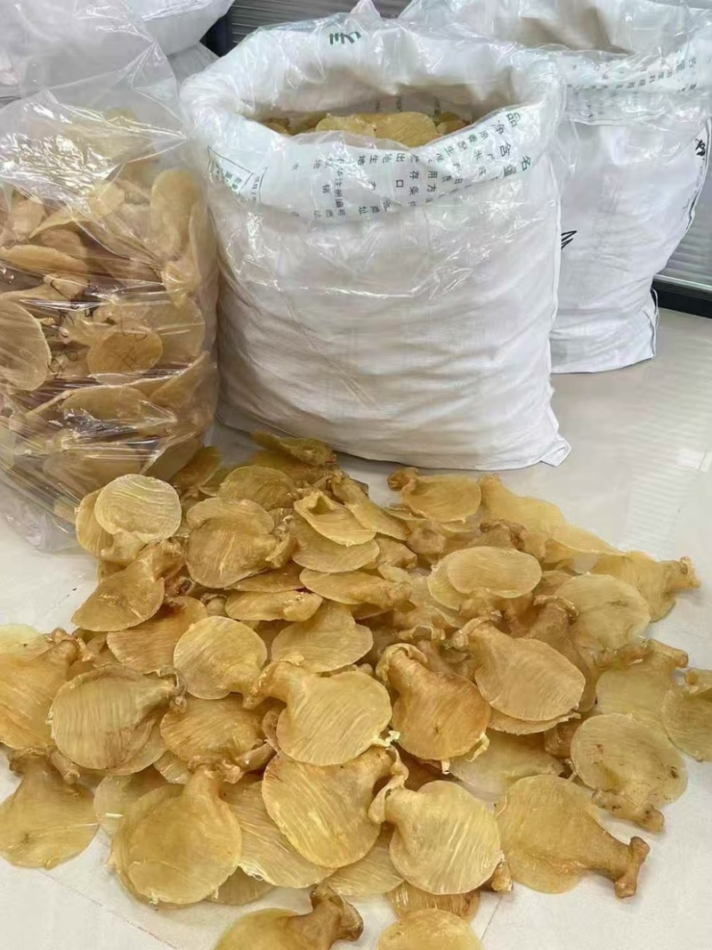 石肚型白鳘赤嘴花胶深海鱼胶孕妇滋补品月子胶干货