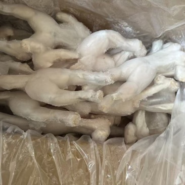 板冻小牛蛙