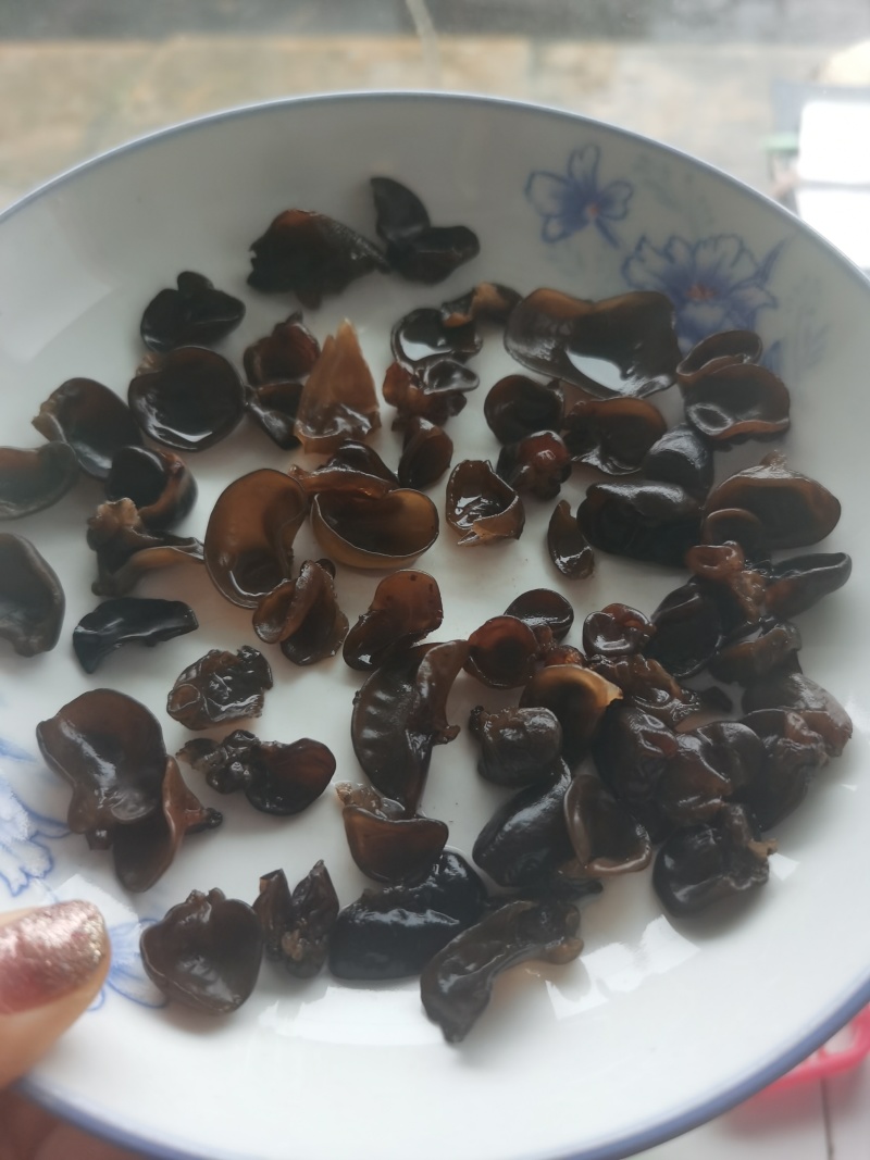 木耳牙子木耳碎电商供货泡发率十几斤秋耳黑厚碗耳批发