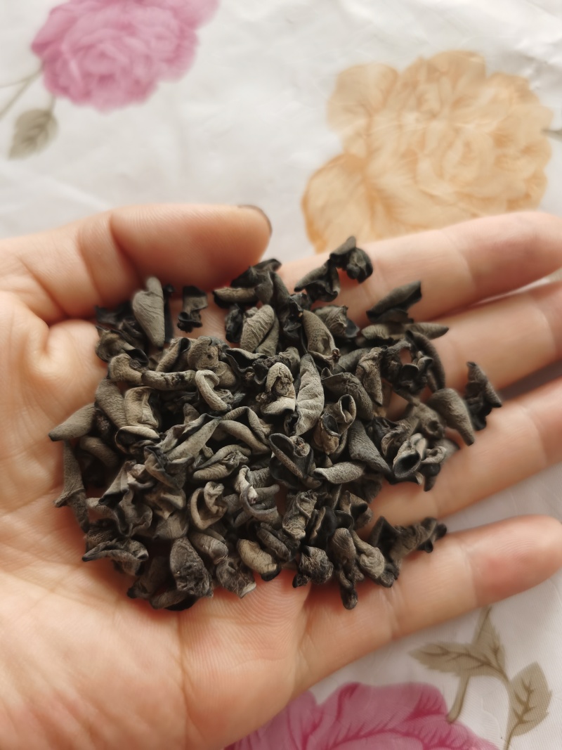 木耳牙子木耳碎电商供货泡发率十几斤秋耳黑厚碗耳批发