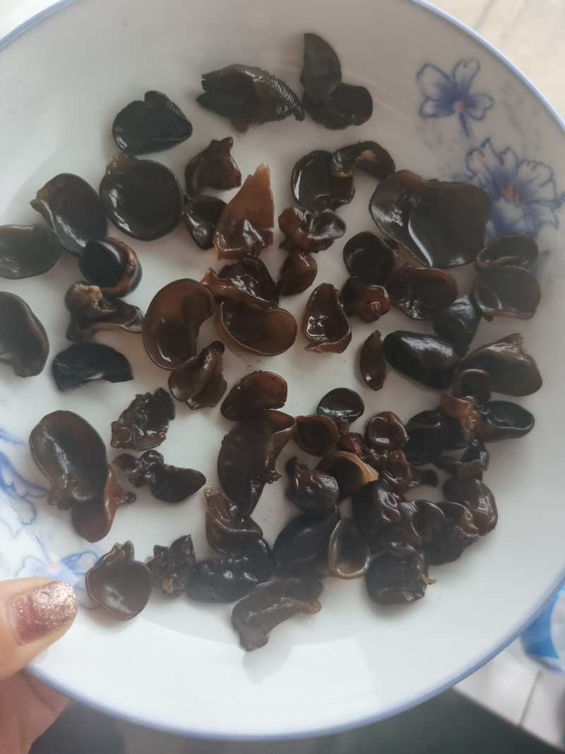 木耳牙子木耳碎电商供货泡发率十几斤秋耳黑厚碗耳批发