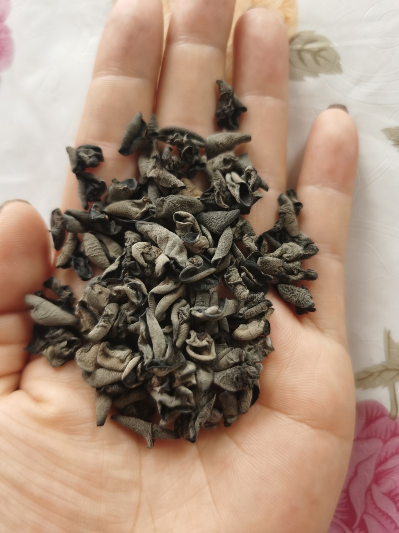木耳牙子木耳碎电商供货泡发率十几斤秋耳黑厚碗耳批发