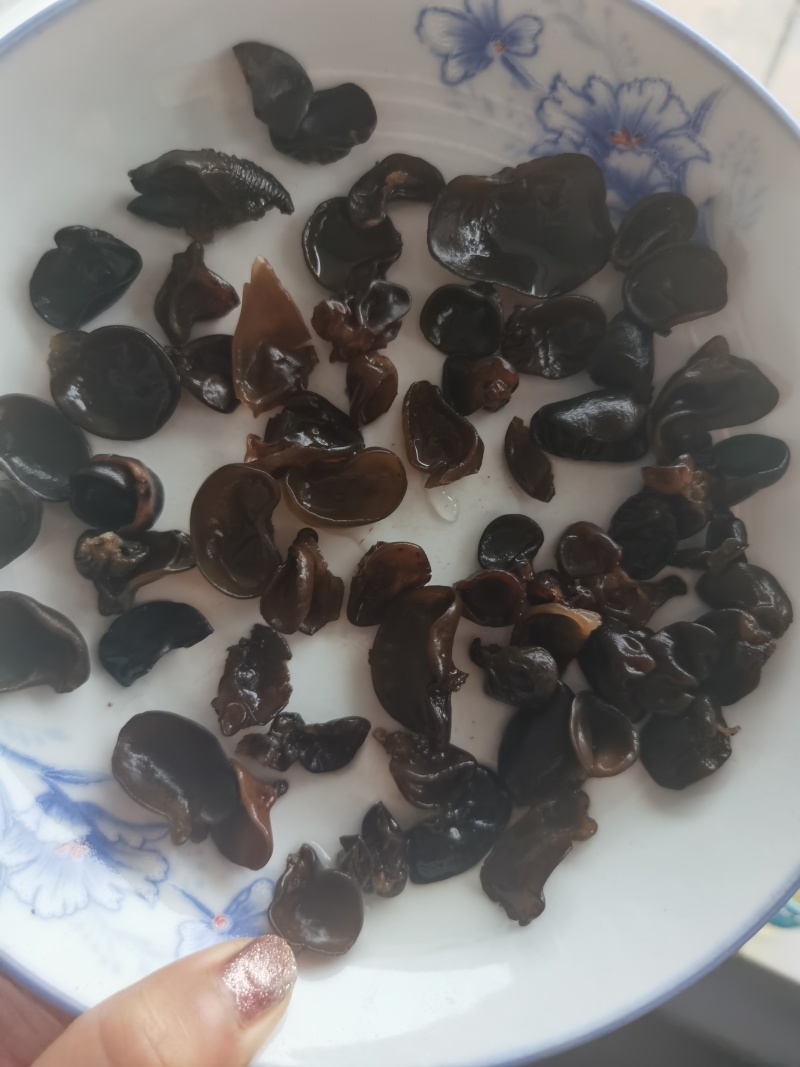 木耳牙子木耳碎电商供货泡发率十几斤秋耳黑厚碗耳批发