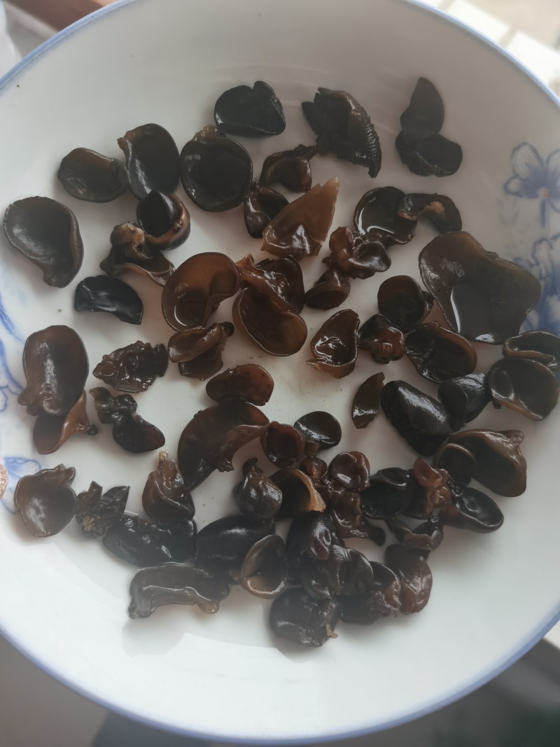 木耳牙子木耳碎电商供货泡发率十几斤秋耳黑厚碗耳批发
