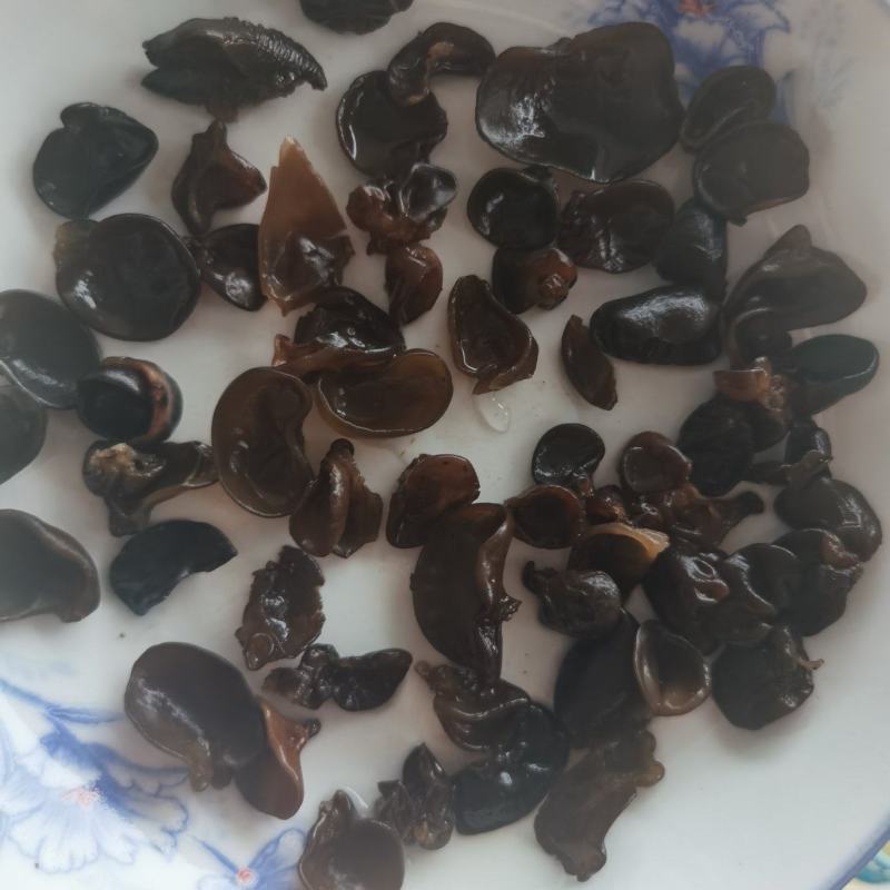 木耳牙子木耳碎电商供货泡发率十几斤秋耳黑厚碗耳批发