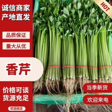 山东产地直销新鲜健康