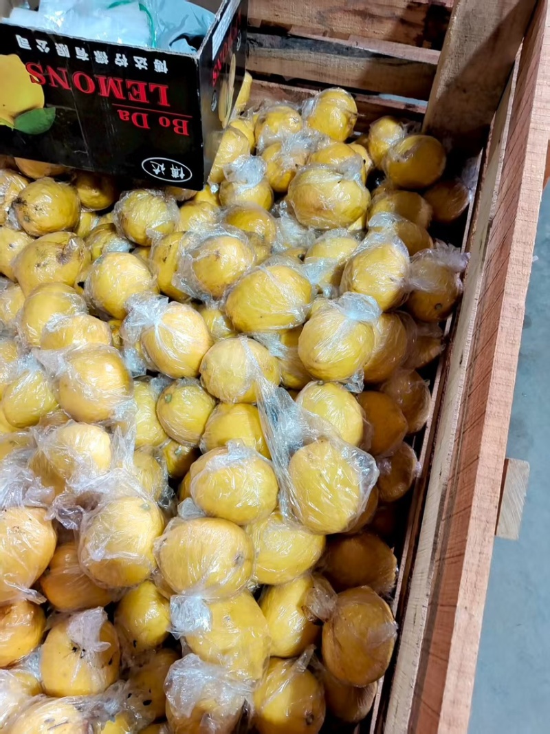 精品安岳柠檬产地直发一手货源质量保证代发全国