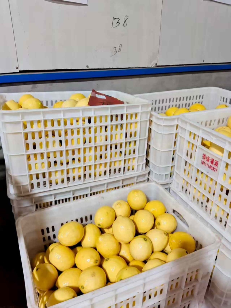 精品安岳柠檬产地直发一手货源质量保证代发全国